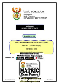 IsiZulu FAL P3 Nov 2018 FINAL Memo..pdf